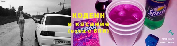 прущие грибы Видное