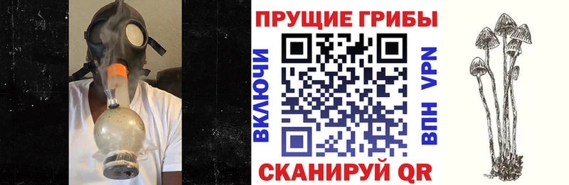 Псилоцибиновые грибы MAGIC MUSHROOMS  Соль-Илецк 